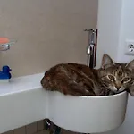 Casa Picca & Lotta 3* ראדנטיין