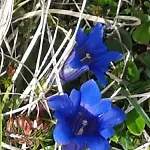 Casa Picca & Lotta לינה וארוחת בוקר 3*