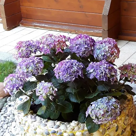 Casa Picca & Lotta Radenthein