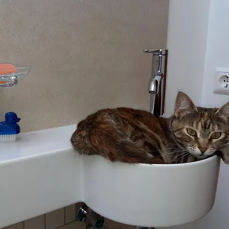 Casa Picca & Lotta 3* Radenthein