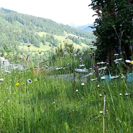 Bed and Breakfast Casa Picca & Lotta 3*