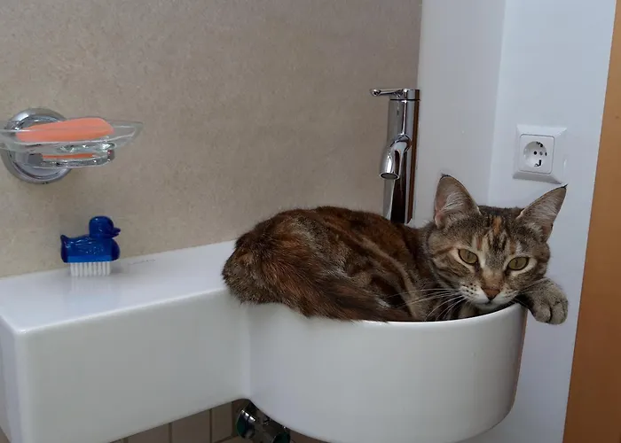 Casa Picca & Lotta 3* ラーデンタイン