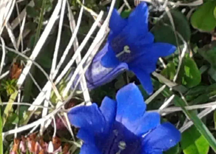 Casa Picca & Lotta Bed & Breakfast 3*